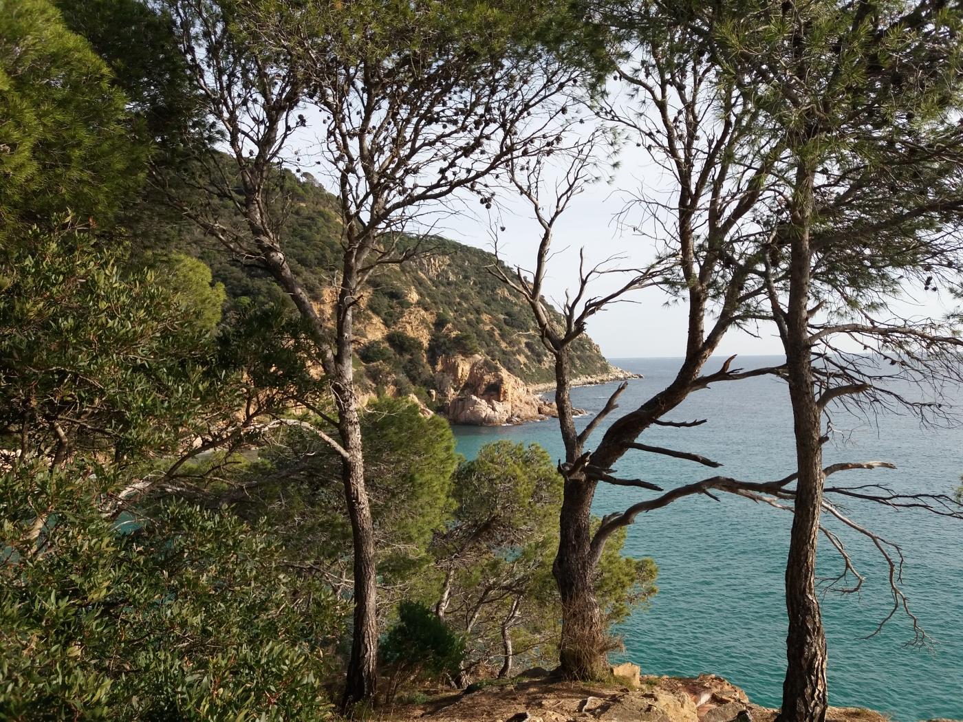 image Appartement DE LUXE en première LIGNE DE MER 19