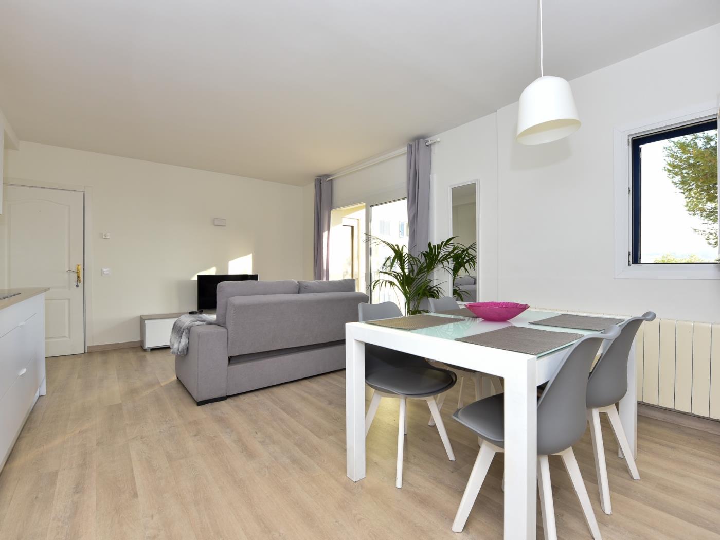 image APARTMENT with FABULOUS TERRACE and sea view in SANT FELIU 5