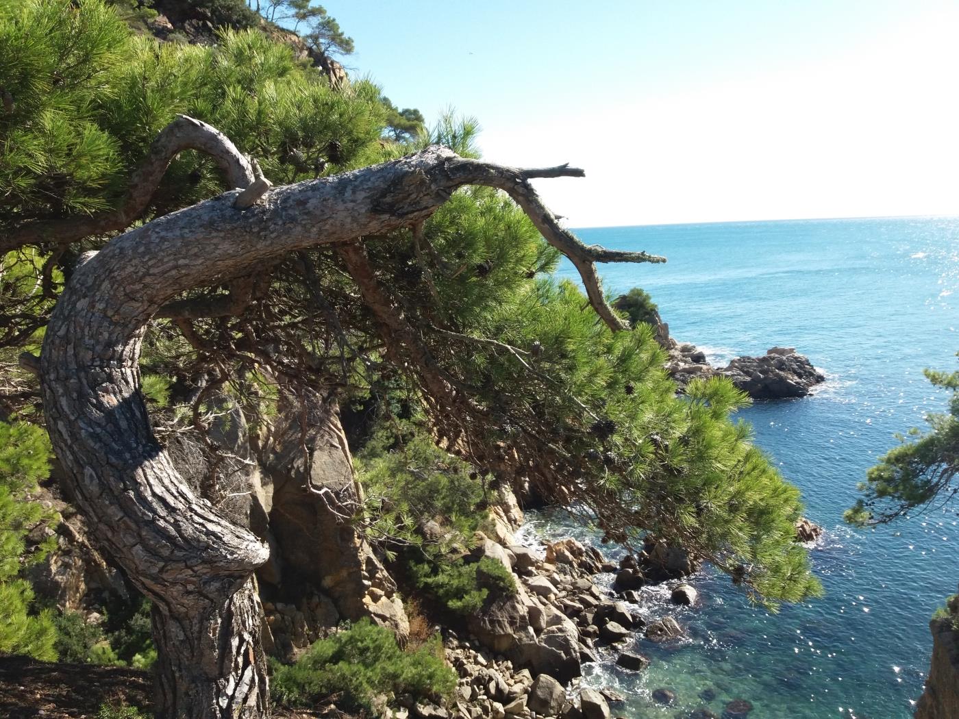 image Elegant apartament a ple centre de St. Feliu 38