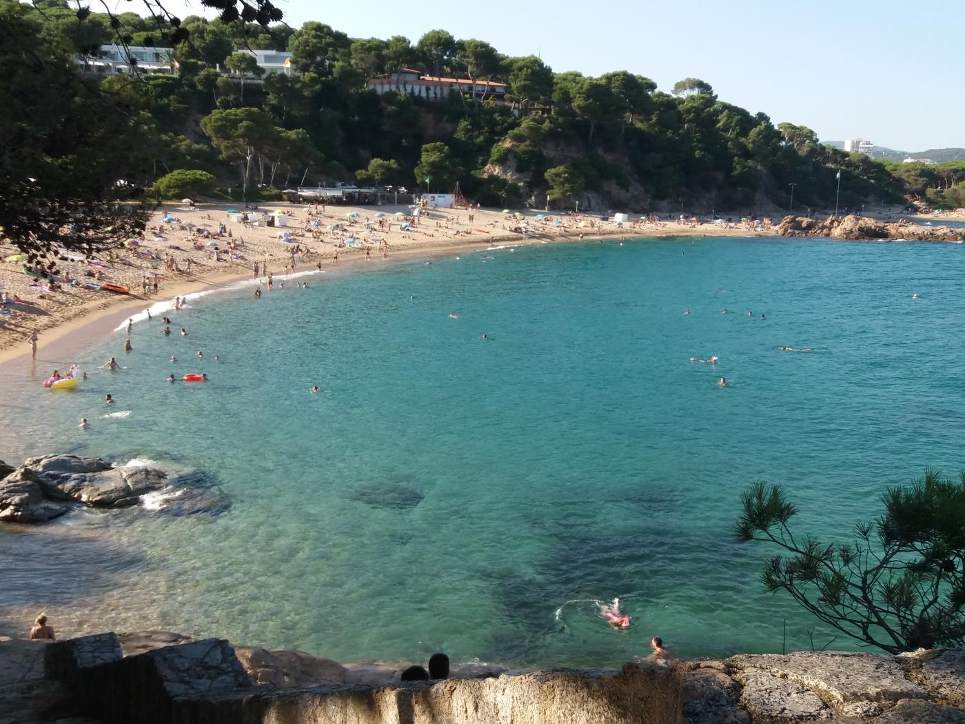 image Desconnexió i natura prop del Mar. 27