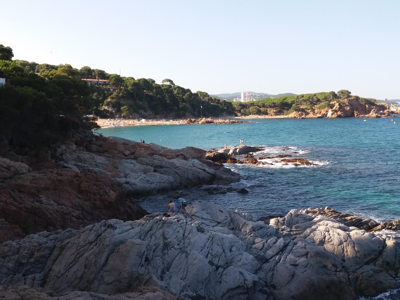 image Desconnexió i natura prop del Mar. 31