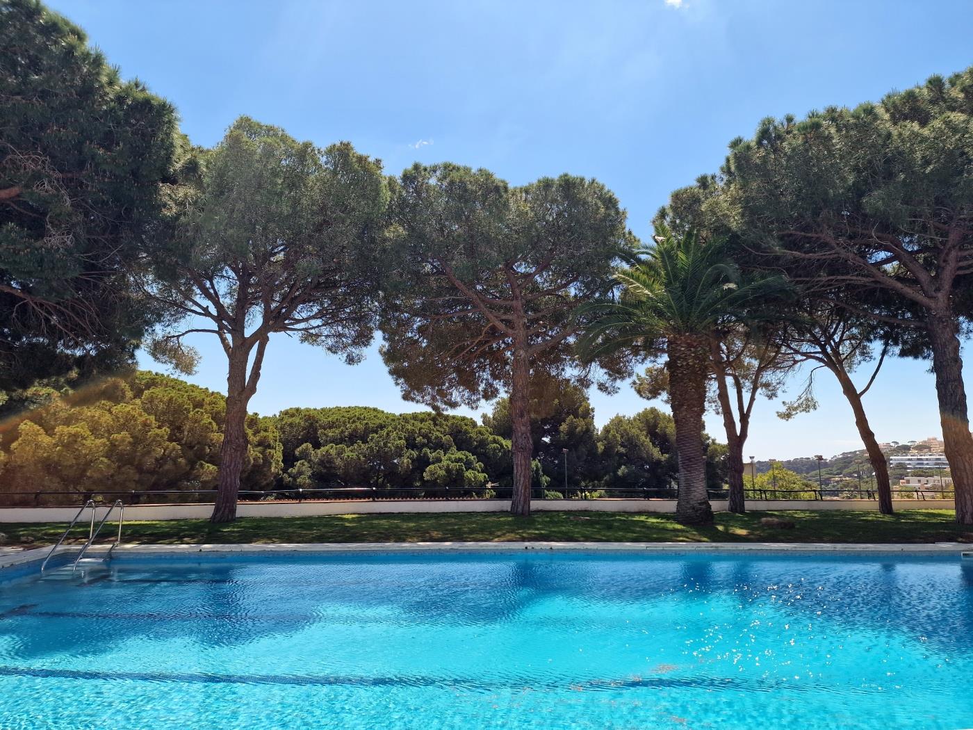 image Apartamento con vistas increíbles y piscina comunitaria 25
