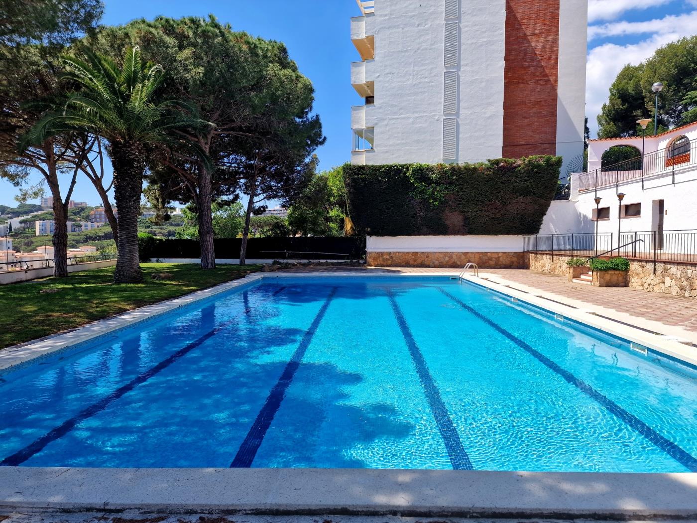 image Apartamento con vistas increíbles y piscina comunitaria 3